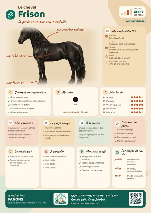 Fiche illustrée : Frison