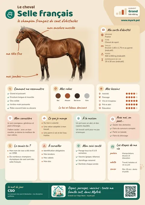 Fiche illustrée : Selle Français